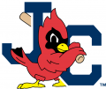 Johnson City Cardinals 1995-Pres Secondary Logo Sticker Heat Transfer