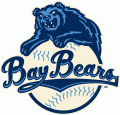 Mobile BayBears 2010-Pres Primary Logo Sticker Heat Transfer