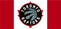 Toronto Raptors Flag001 logo decal sticker