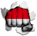 Fist Monaco Flag Logo Sticker Heat Transfer