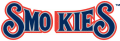 Tennessee Smokies 2000-2014 Wordmark Logo Sticker Heat Transfer