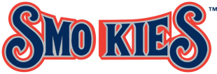 Tennessee Smokies 2000-2014 Wordmark Logo decal sticker