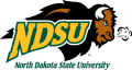 North Dakota State Bison 2005-2011 Secondary Logo 01 Sticker Heat Transfer