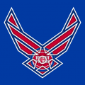 Airforce Detroit Pistons logo decal sticker