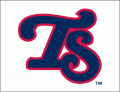 Tennessee Smokies 2010-Pres Cap Logo Sticker Heat Transfer