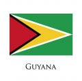 Guyana flag logo Sticker Heat Transfer