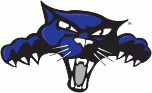 High Point Panthers 2004-Pres Alternate Logo decal sticker