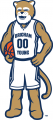 Brigham Young Cougars 2015-Pres Mascot Logo Sticker Heat Transfer