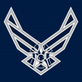 Airforce New York Yankees logo decal sticker