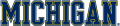 Michigan Wolverines 1996-Pres Wordmark Logo 04 decal sticker