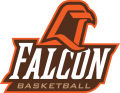 Bowling Green Falcons 1999-2005 Misc Logo decal sticker