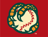 Boise Hawks 2007-Pres Cap Logo decal sticker
