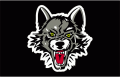 Chicago Wolves 2016-Pres Jersey Logo decal sticker