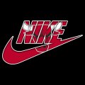Chicago Bulls Nike logo Sticker Heat Transfer