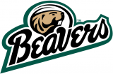 Bemidji State Beavers 2004-Pres Alternate Logo 01 decal sticker