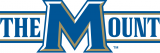 Mount St. Marys Mountaineers 2004-Pres Alternate Logo 03 decal sticker