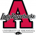 Arkansas Razorbacks 1998-2000 Alternate Logo decal sticker