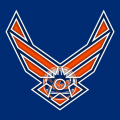 Airforce New York Mets Logo Sticker Heat Transfer