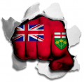 Fist Ontario Flag Logo Sticker Heat Transfer