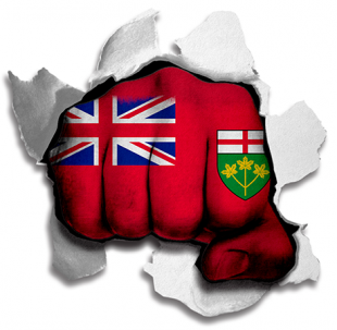 Fist Ontario Flag Logo decal sticker
