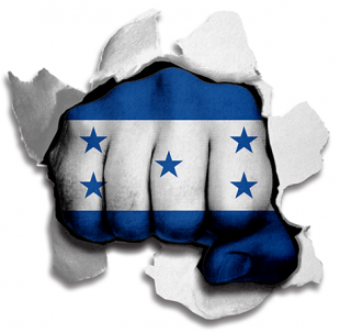 Fist Honduras Flag Logo decal sticker