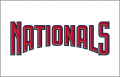 Washington Nationals 2005-2010 Jersey Logo Sticker Heat Transfer