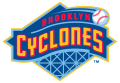 Brooklyn Cyclones 2001-Pres Primary Logo Sticker Heat Transfer