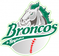Reynosa Broncos 2009-Pres Primary Logo decal sticker