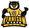 Kennesaw State Owls 2012-Pres Mascot Logo 01 decal sticker