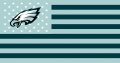 Philadelphia Eagles Flag001 logo Sticker Heat Transfer