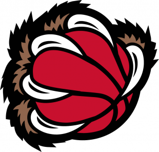 Memphis Grizzlies 2001-2003 Alternate Logo 2 decal sticker