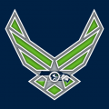 Airforce Seattle Seahawks Logo decal sticker