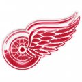 Detroit Red Wings Crystal Logo Sticker Heat Transfer