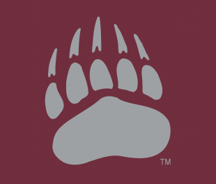 Montana Grizzlies 1996-Pres Alternate Logo 07 decal sticker