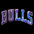 Galaxy Chicago Bulls Logo Sticker Heat Transfer