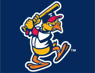 Toledo Mud Hens 2006-Pres Cap Logo 2 Sticker Heat Transfer