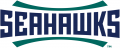 NC-Wilmington Seahawks 2015-Pres Wordmark Logo 02 decal sticker