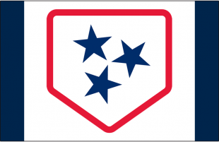 Nashville Sounds 2019-Pres Cap Logo 2 decal sticker