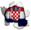 Fist Croatia Flag Logo Sticker Heat Transfer