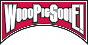 Arkansas Razorbacks 2001-2008 Wordmark Logo 05 decal sticker