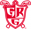 Grand Rapids Griffins 2007-2013 Alternate Logo Sticker Heat Transfer