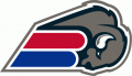 Buffalo Bills 2002 Unused Logo decal sticker