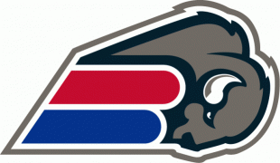 Buffalo Bills 2002 Unused Logo Sticker Heat Transfer