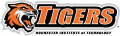 RIT Tigers 2004-Pres Secondary Logo Sticker Heat Transfer