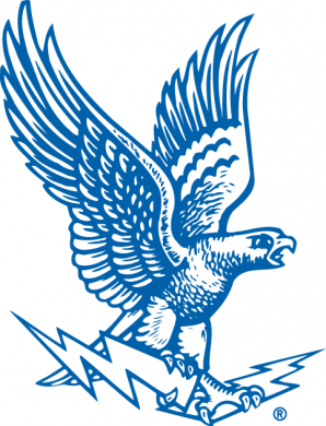 Air Force Falcons 1963-1994 Primary Logo Sticker Heat Transfer