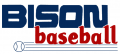 Buffalo Bisons 1985-1988 Wordmark Logo decal sticker