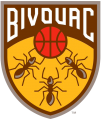 Bivouac 2019-Pres Primary Logo Sticker Heat Transfer