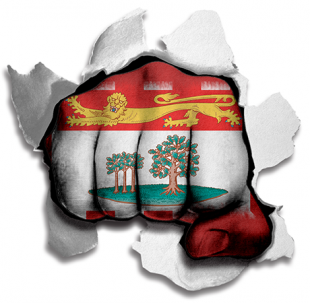 Fist Prince Edward Island Flag Logo Sticker Heat Transfer