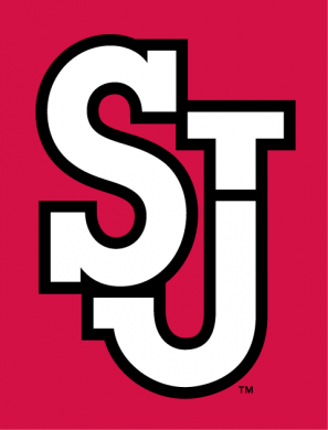 St.Johns RedStorm 2007-Pres Alternate Logo 08 Sticker Heat Transfer