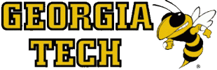 Georgia Tech Yellow Jackets 1991-Pres Wordmark Logo Sticker Heat Transfer